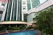 پان پاسیفیک