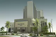 پالاس