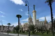 دل مار