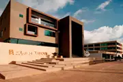 بی لی تونگ