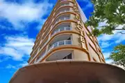 نوا گلد