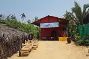 بلا ویستا