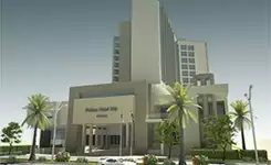 پالاس
