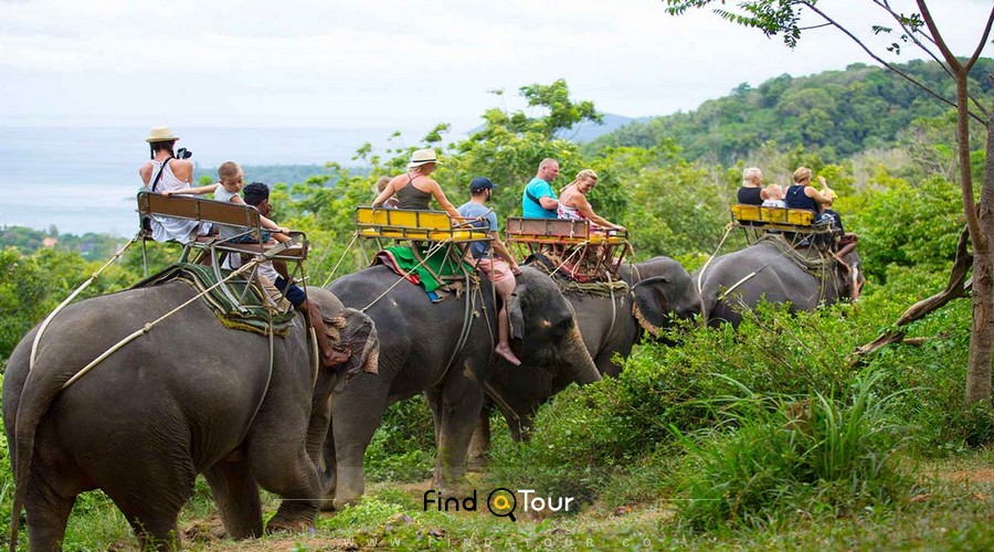 فیل سواری در بالی