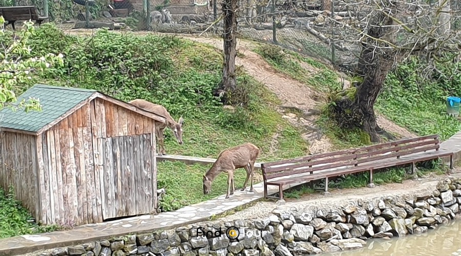 باغ وحش پولونزکوی در استانبول