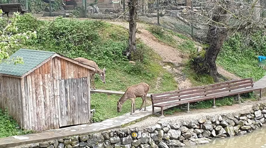 باغ وحش پولونزکوی استانبول