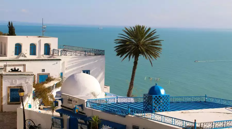 تور تونس