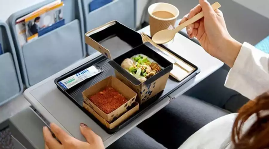 خدمات داخل پرواز ایرلاین‌ها