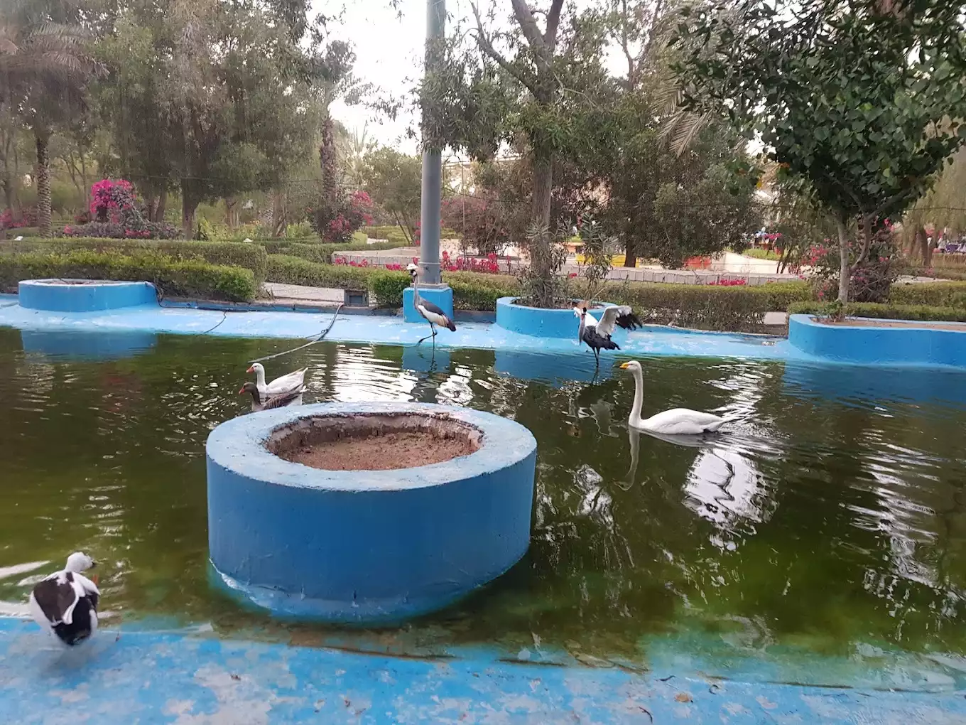 باغ پرندگان کیش