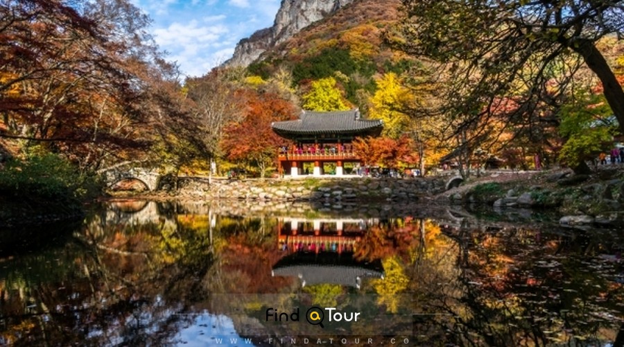 طبیعت پاییز کره جنوبی