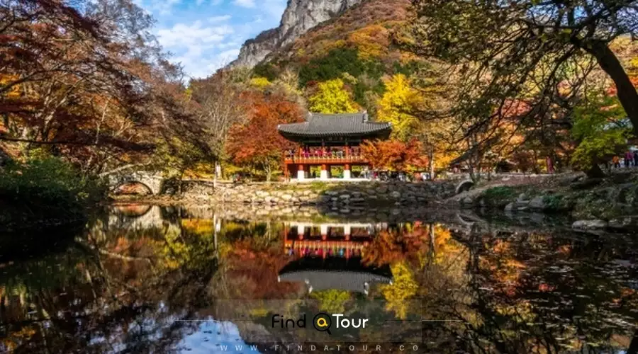 طبیعت پاییز کره جنوبی